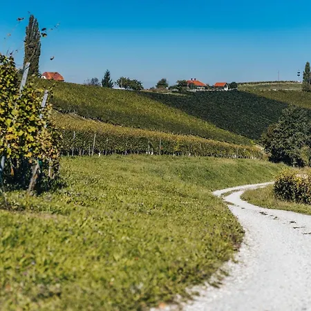 Apartman Wellness House Deer's Hill - Happy *