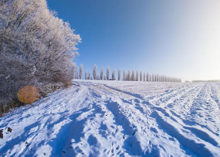 Wellness House Deer's Hill - Happy شقة Mala Nedelja